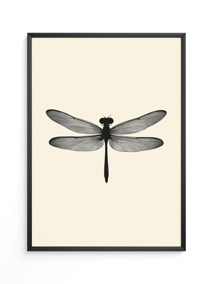 Libelle Minimalistisch Grafik