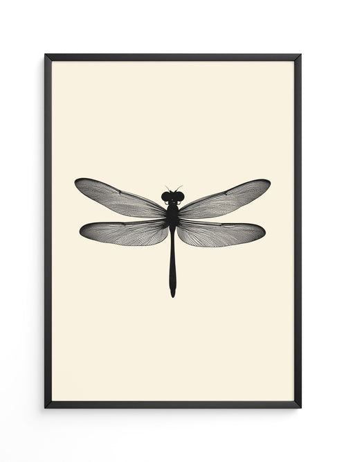 Libelle Minimalistisch Grafik