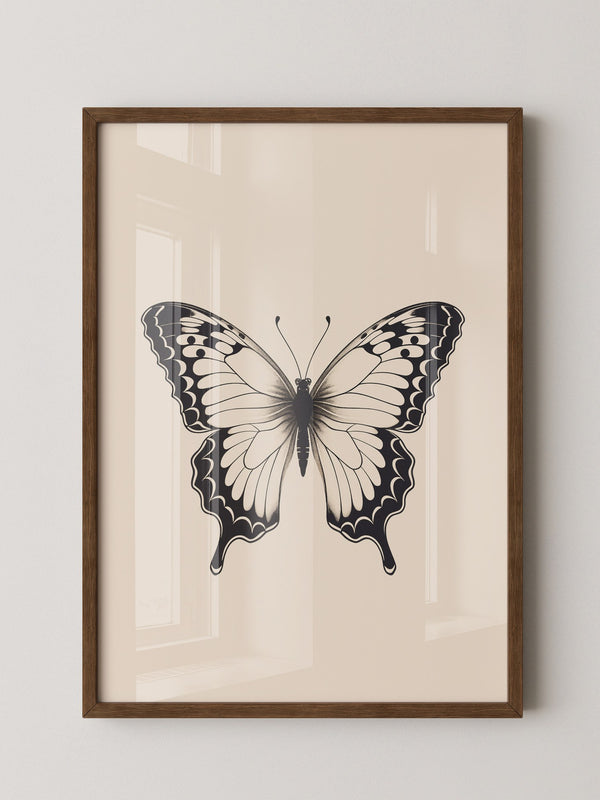Schmetterling Schwarzweiß Kunst