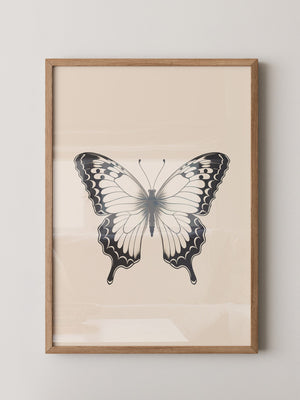 Schmetterling Schwarzweiß Kunst