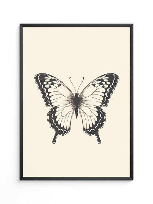 Schmetterling Schwarzweiß Kunst