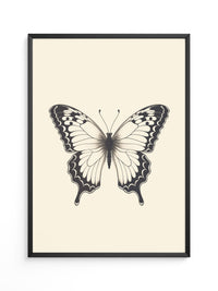 Schmetterling Schwarzweiß Kunst