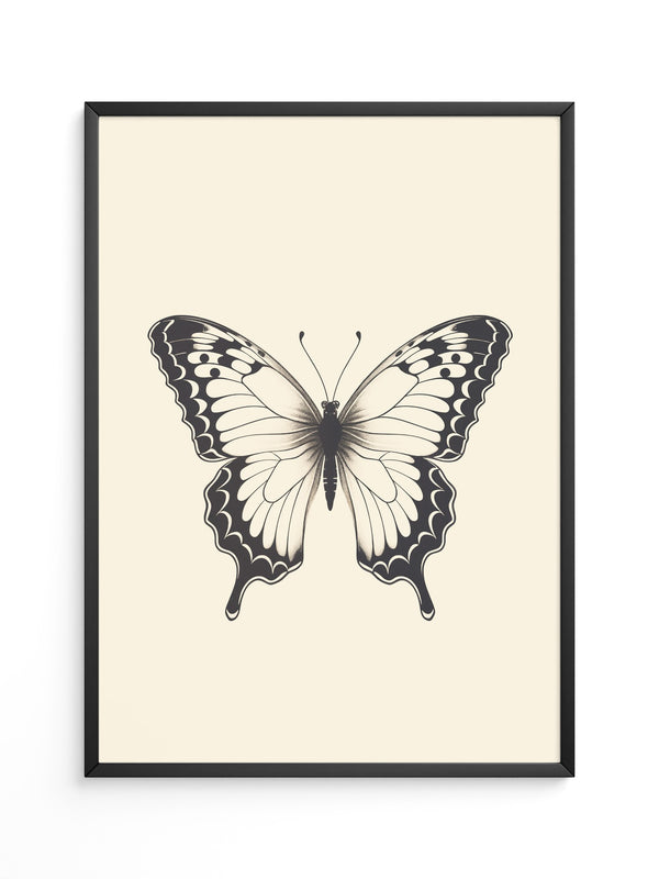 Schmetterling Schwarzweiß Kunst