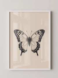 Schmetterling Schwarzweiß Kunst