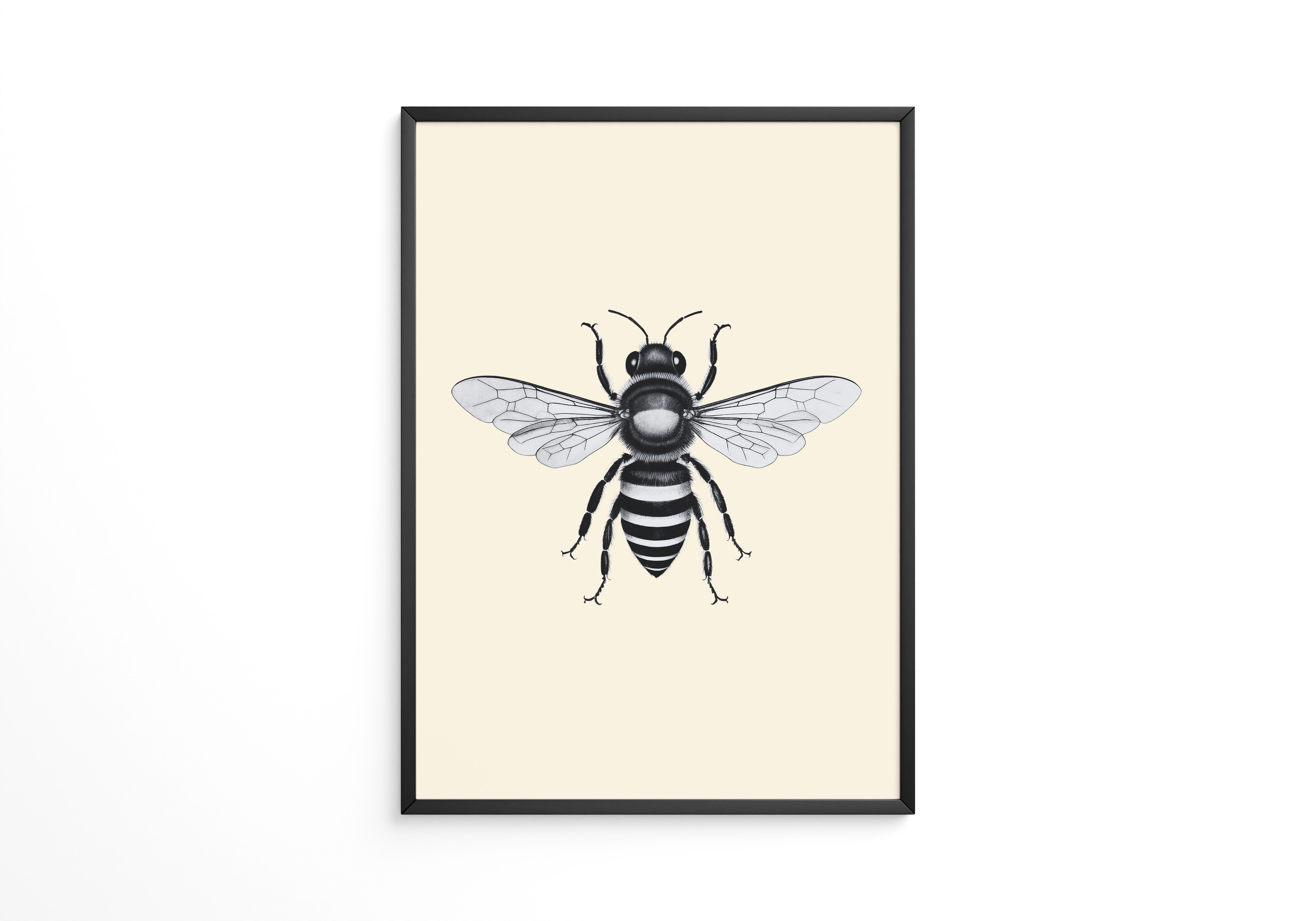 Biene Schwarzweiß Zeichnung