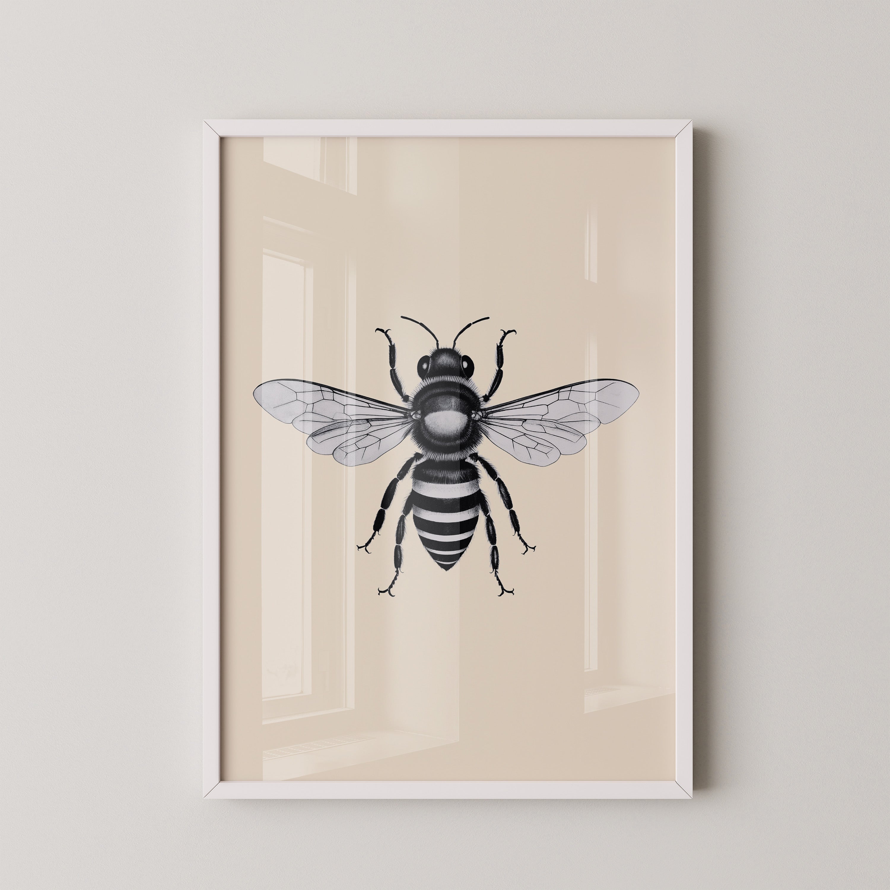 Biene Schwarzweiß Zeichnung