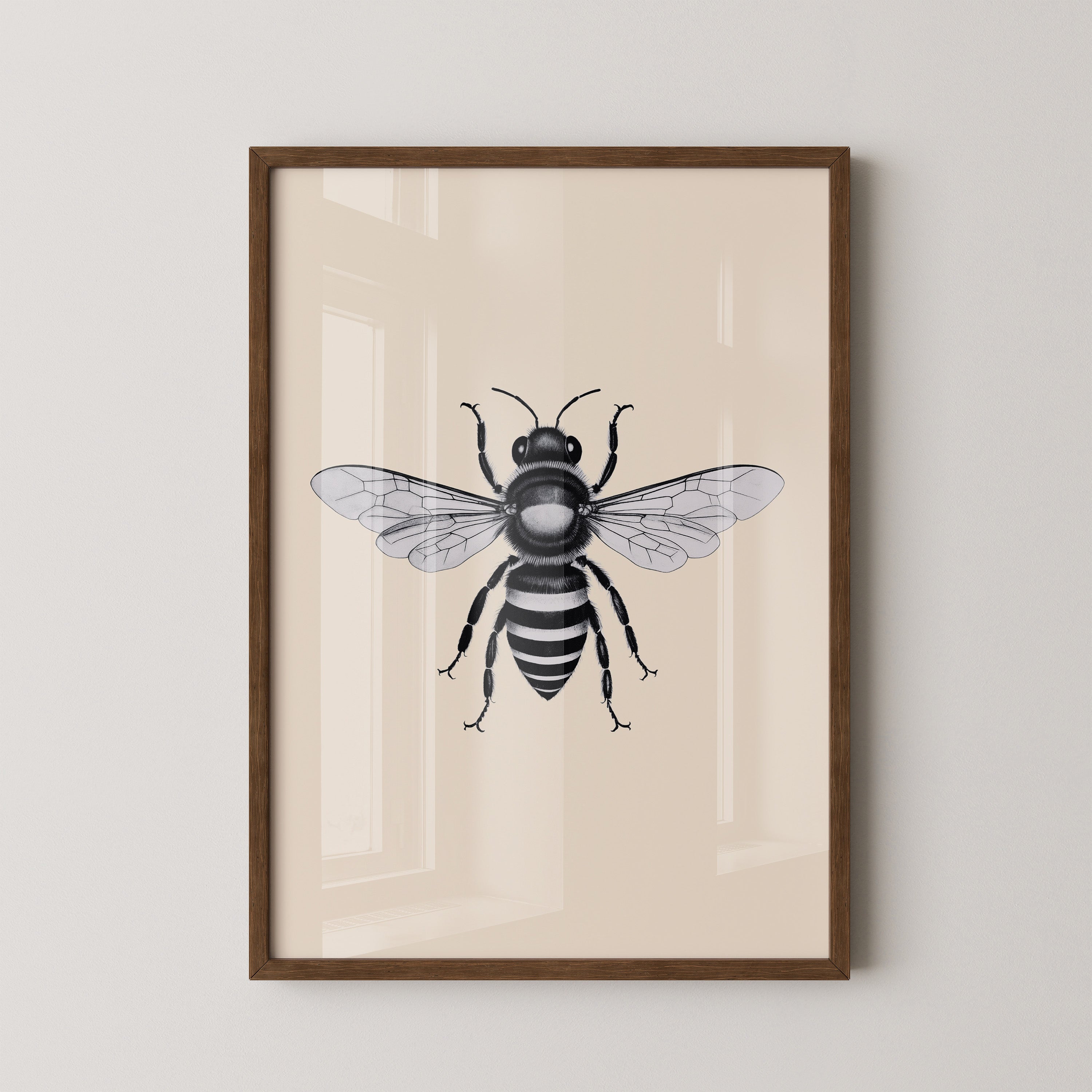 Biene Schwarzweiß Zeichnung