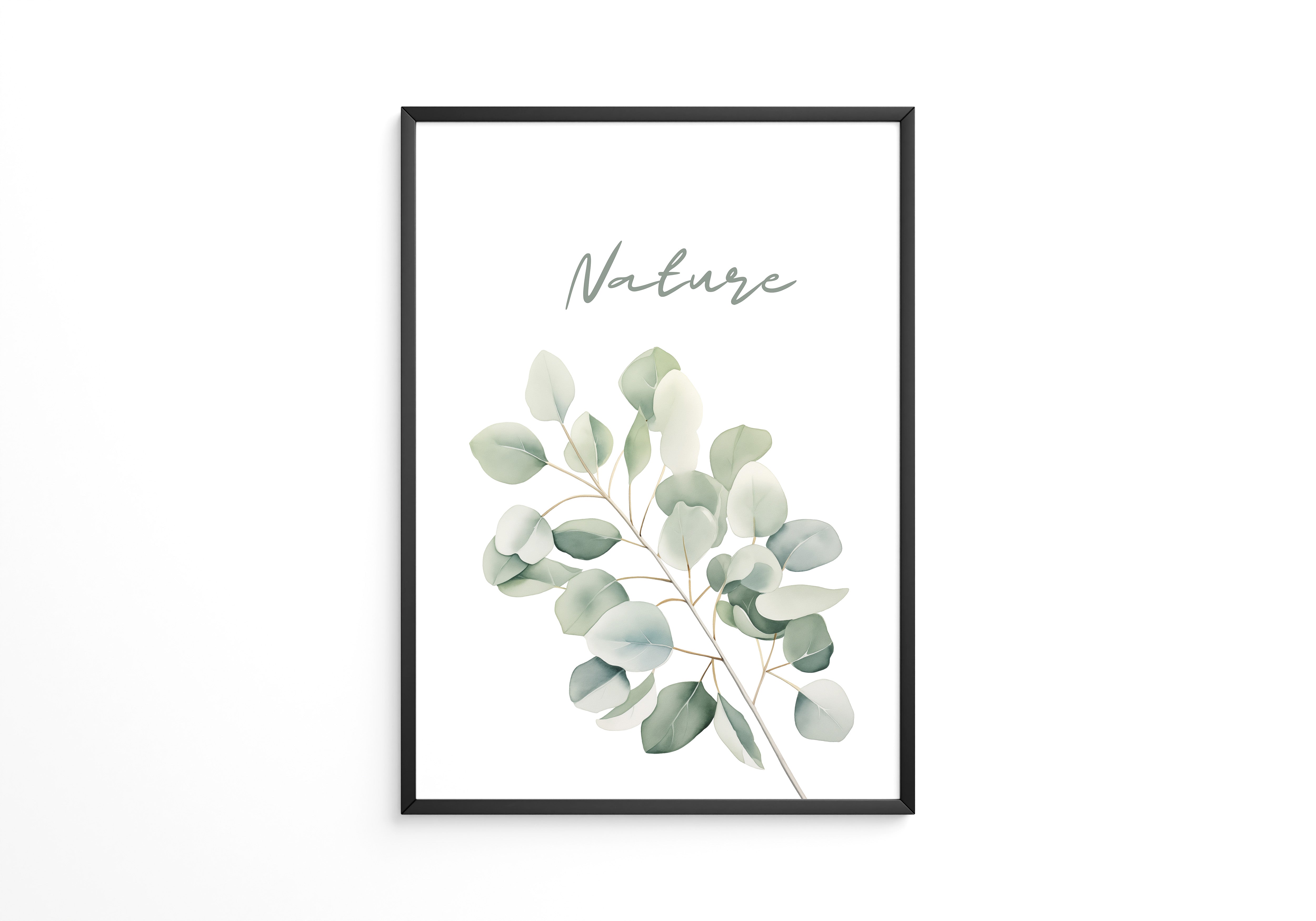 Eukalyptus Aquarell grün