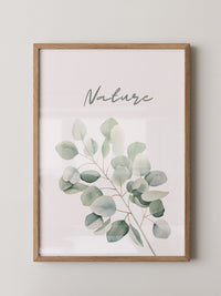 Eukalyptus Aquarell grün