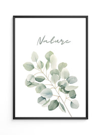 Eukalyptus Aquarell grün