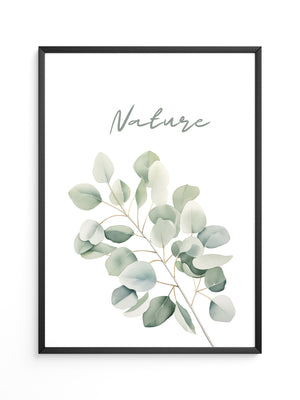 Eukalyptus Aquarell grün