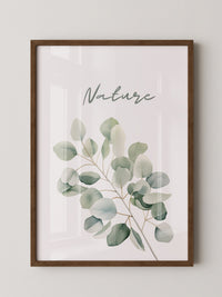 Eukalyptus Aquarell grün