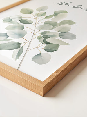 Eukalyptus Aquarell grün