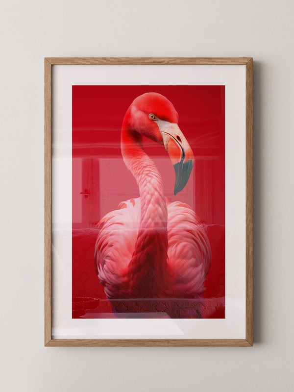 Flamingo Rot Portrait