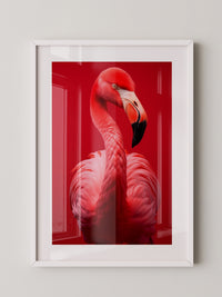 Flamingo Rot Portrait