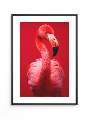 Flamingo Rot Portrait