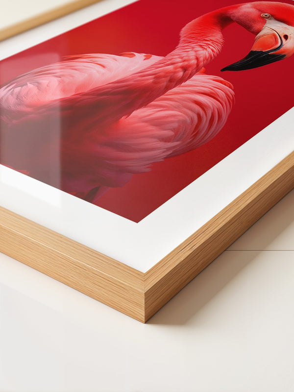Flamingo Rot Portrait