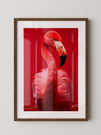 Flamingo Rot Portrait