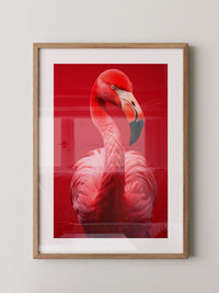 Flamingo Rot Portrait