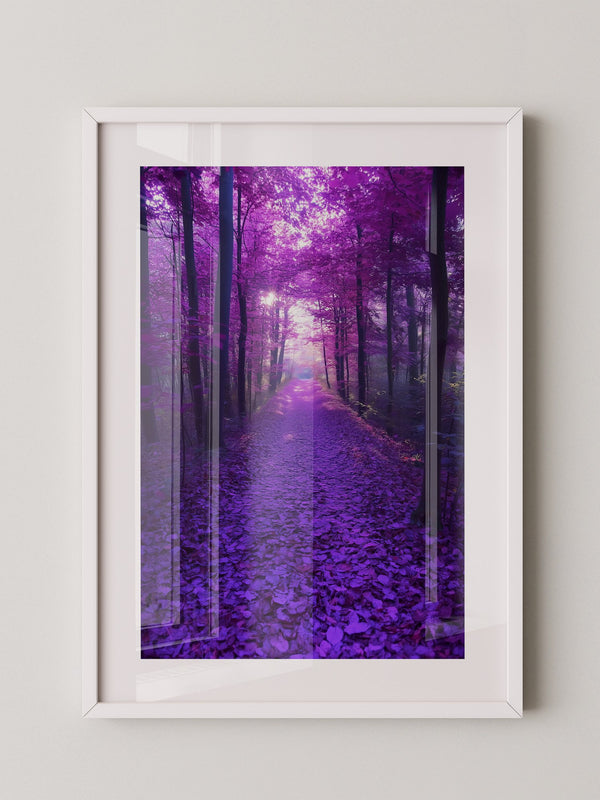 Waldweg lila Farbenspiel