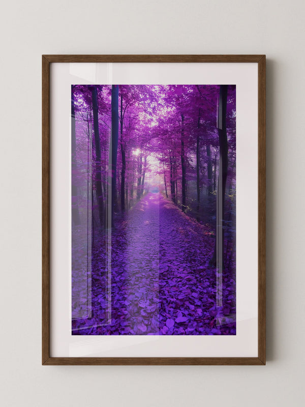 Waldweg lila Farbenspiel