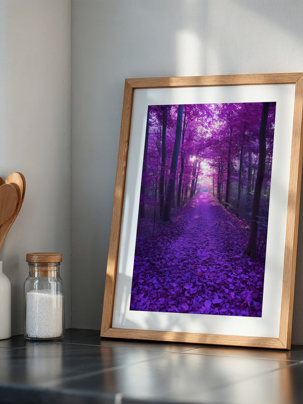 Waldweg lila Farbenspiel