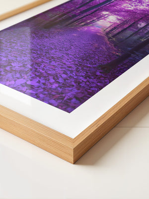 Waldweg lila Farbenspiel