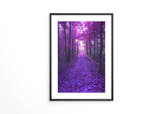Waldweg lila Farbenspiel