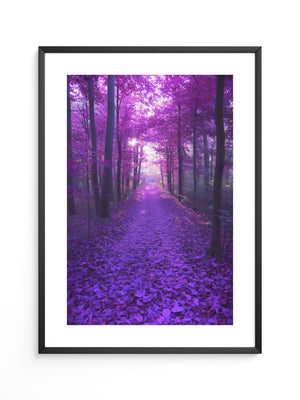 Waldweg lila Farbenspiel