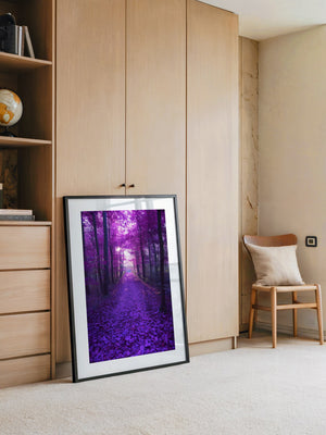 Waldweg lila Farbenspiel