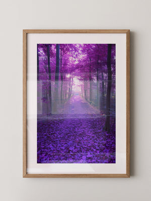 Waldweg lila Farbenspiel