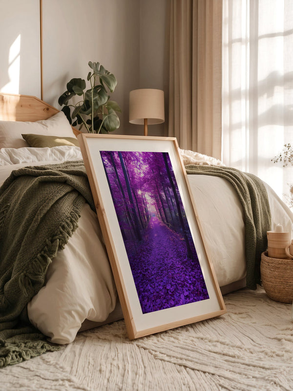 Waldweg lila Farbenspiel