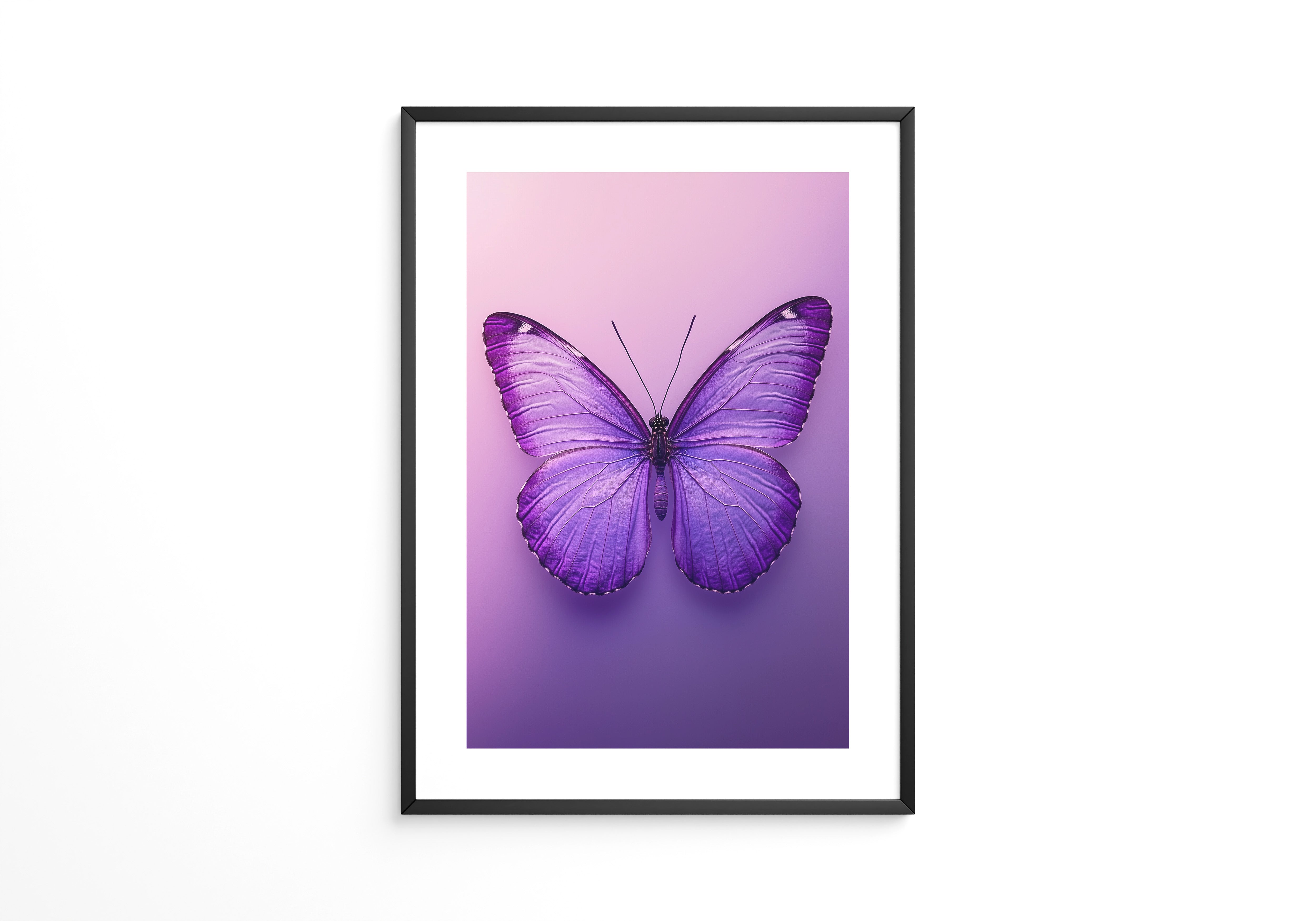 Schmetterling Lila Symmetrie