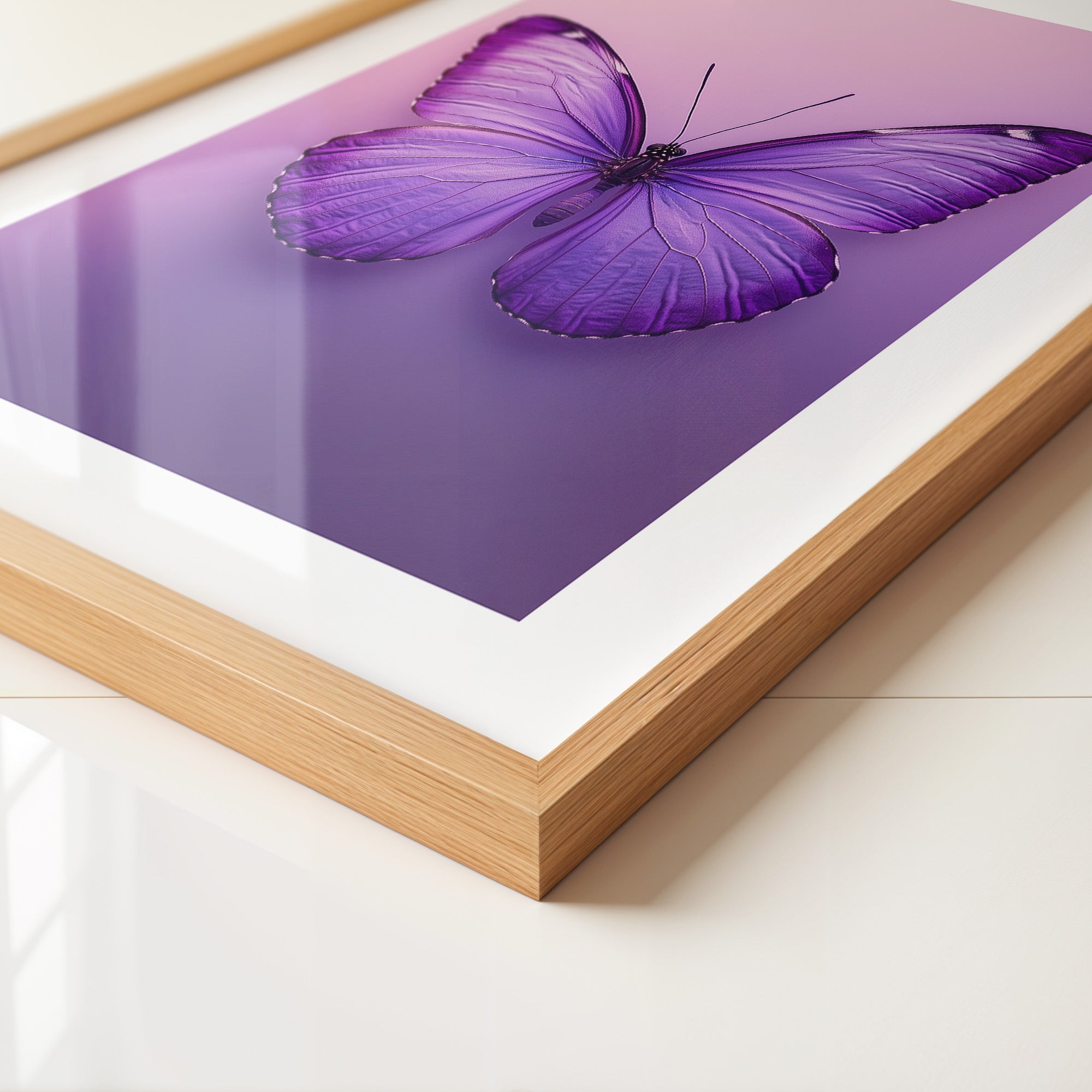 Schmetterling Lila Symmetrie