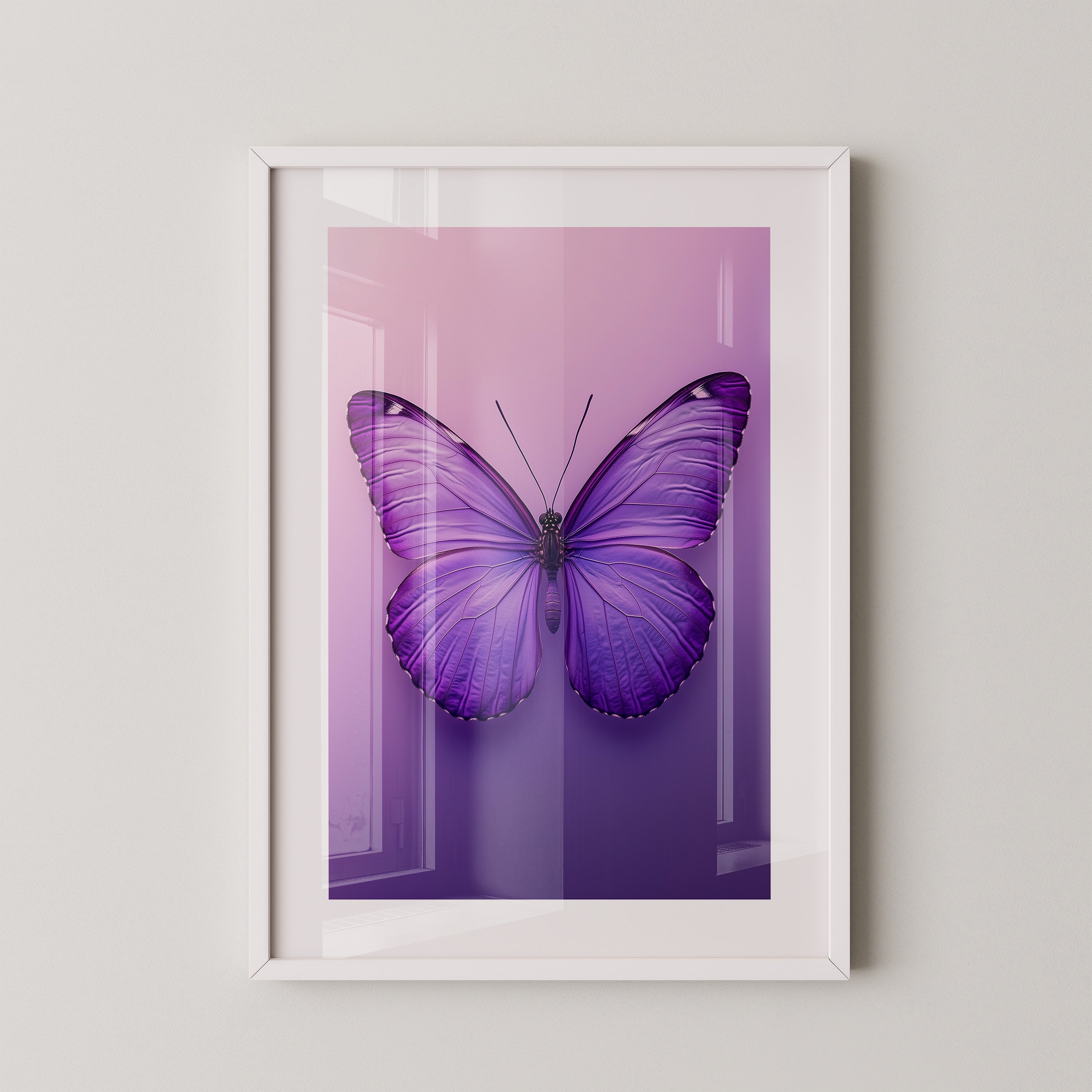 Schmetterling Lila Symmetrie