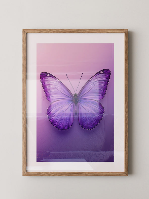 Schmetterling Lila Symmetrie