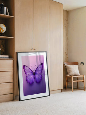 Schmetterling Lila Symmetrie