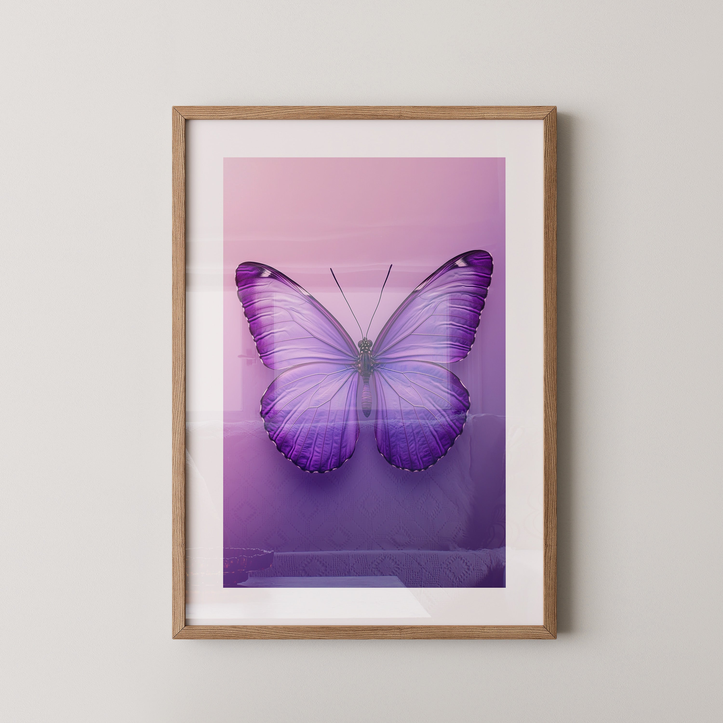 Schmetterling Lila Symmetrie