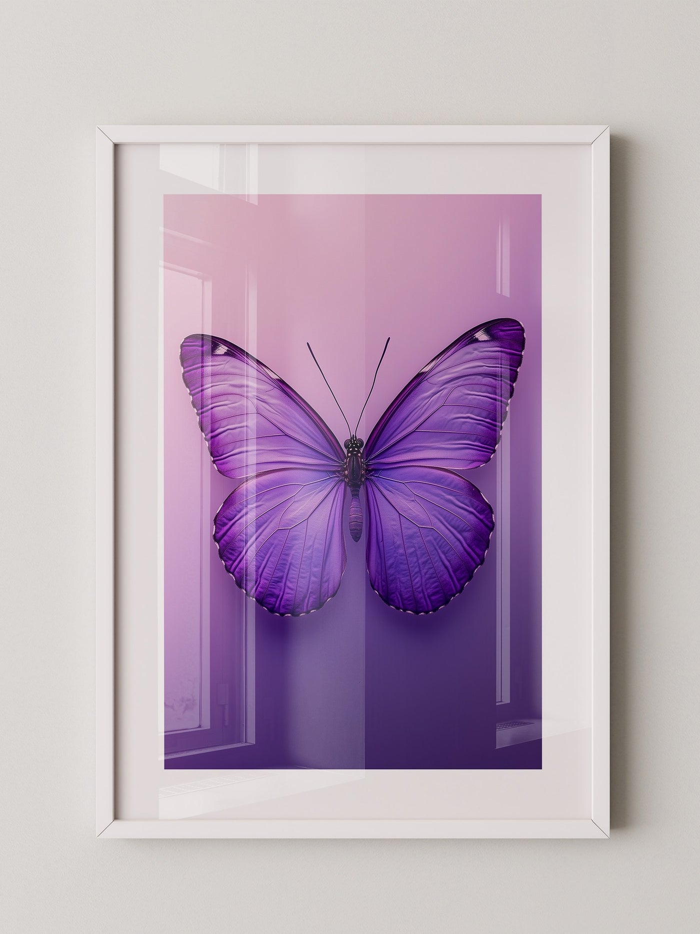 Schmetterling Lila Symmetrie