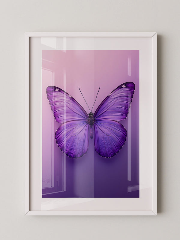 Schmetterling Lila Symmetrie
