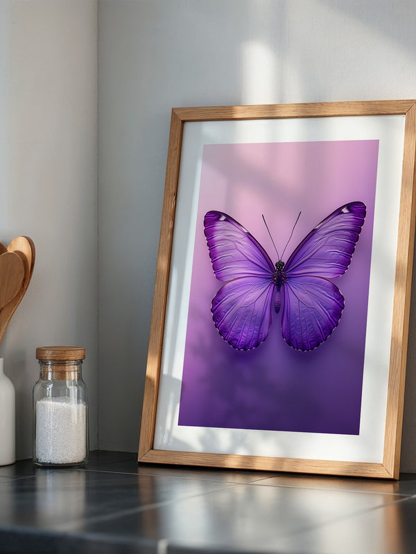 Schmetterling Lila Symmetrie