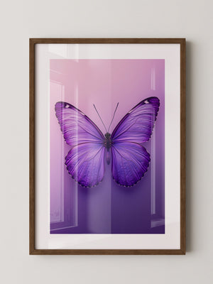 Schmetterling Lila Symmetrie