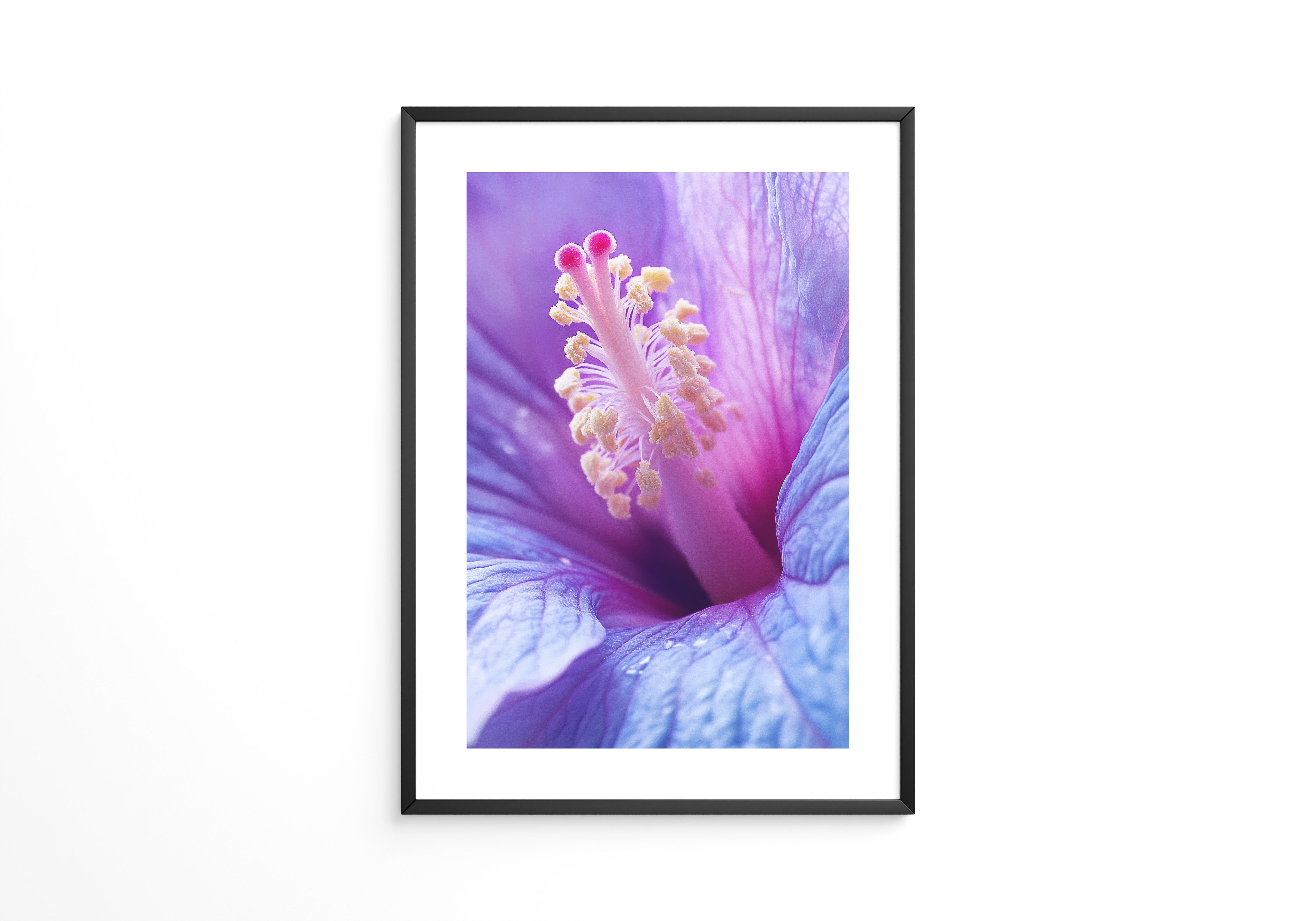 Hibiskus Blüte Makro lila