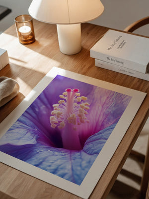 Hibiskus Blüte Makro lila