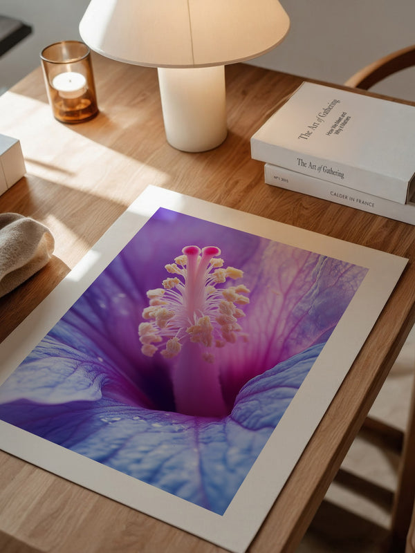 Hibiskus Blüte Makro lila