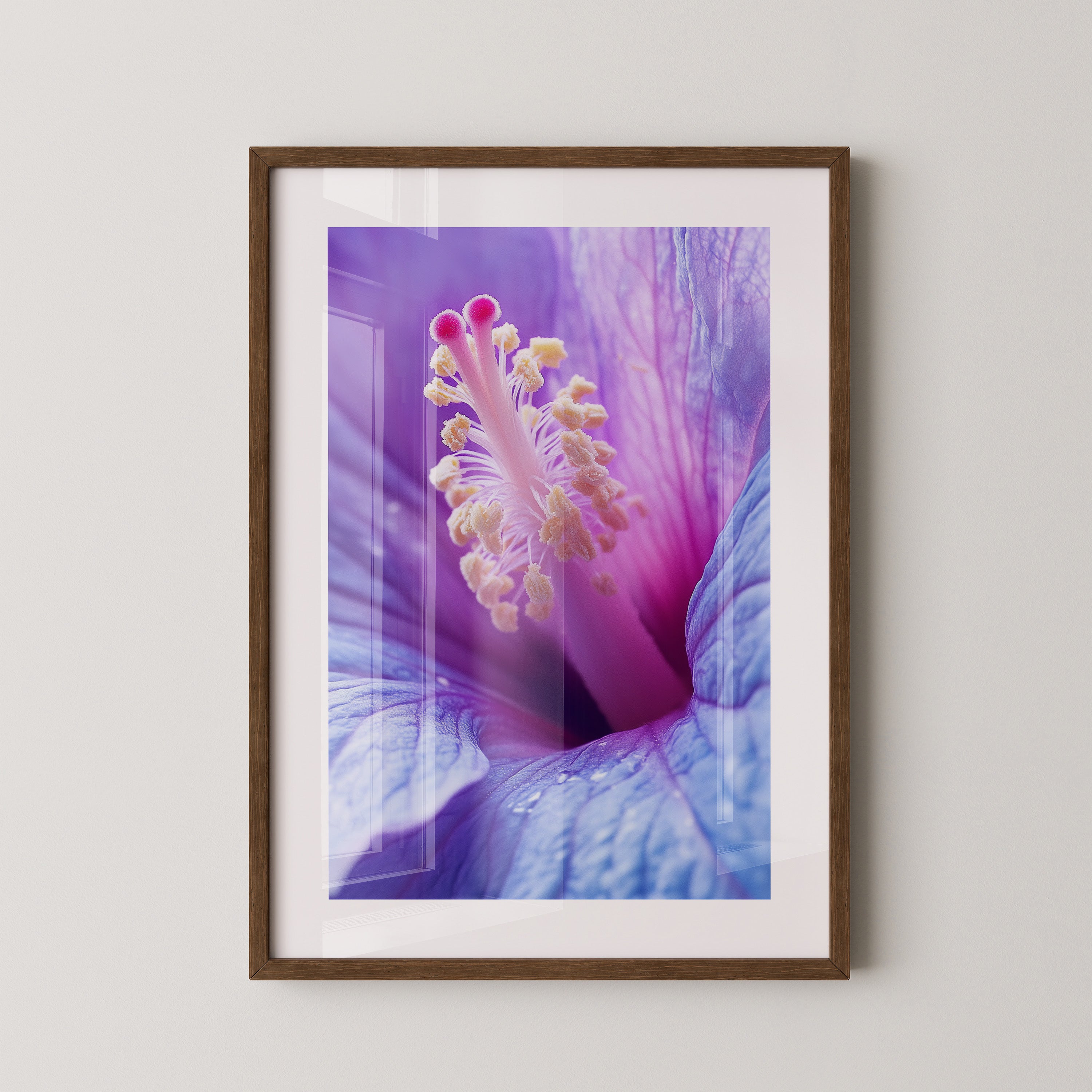 Hibiskus Blüte Makro lila