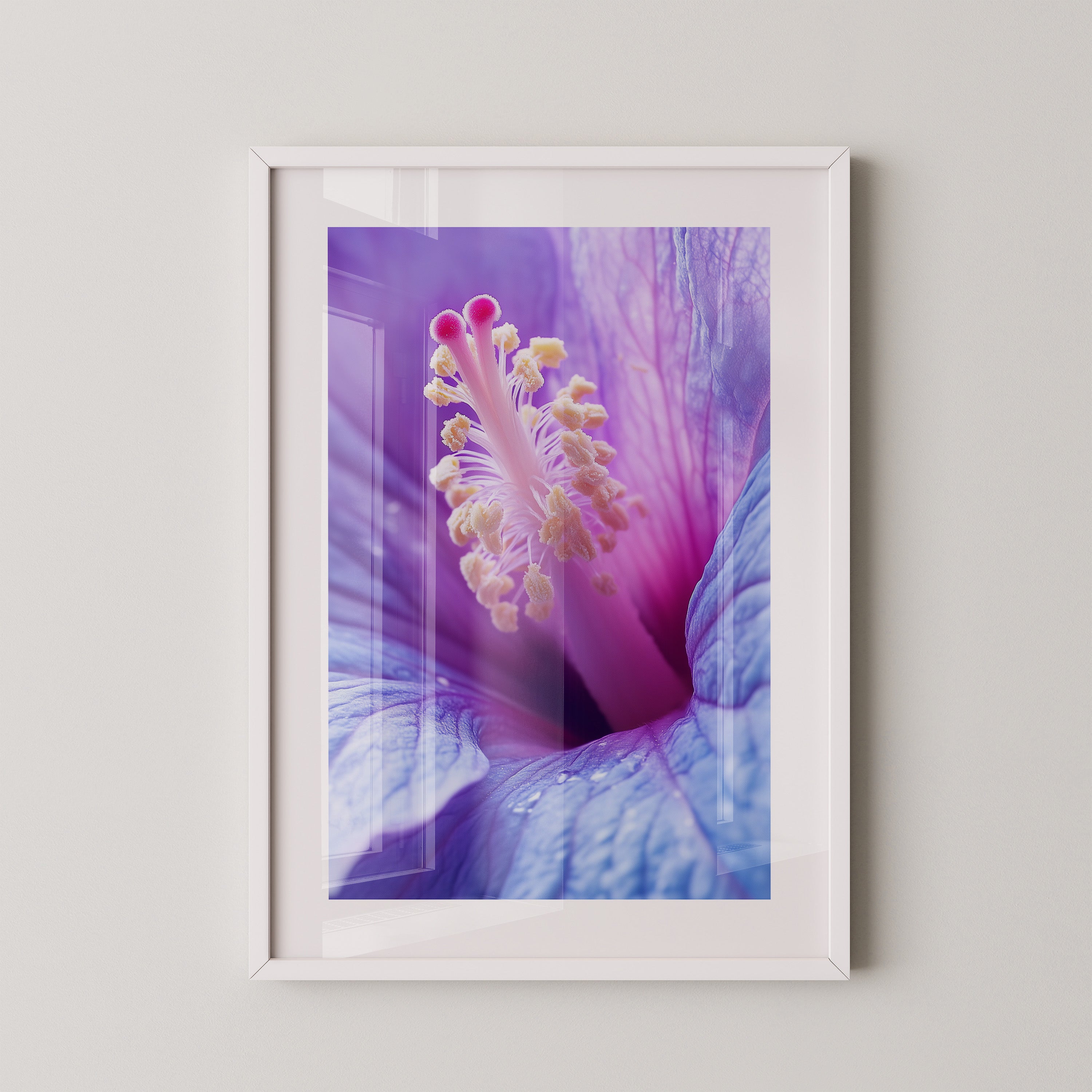 Hibiskus Blüte Makro lila