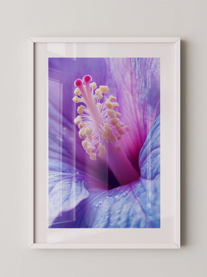 Hibiskus Blüte Makro lila