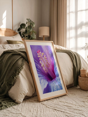 Hibiskus Blüte Makro lila