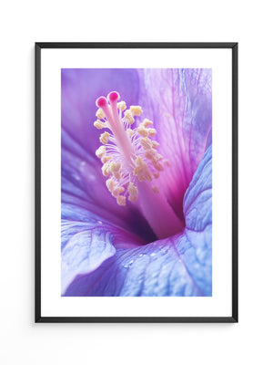 Hibiskus Blüte Makro lila